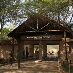 Masai Mara National Reserve