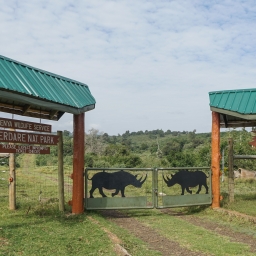 Aberdare National Park